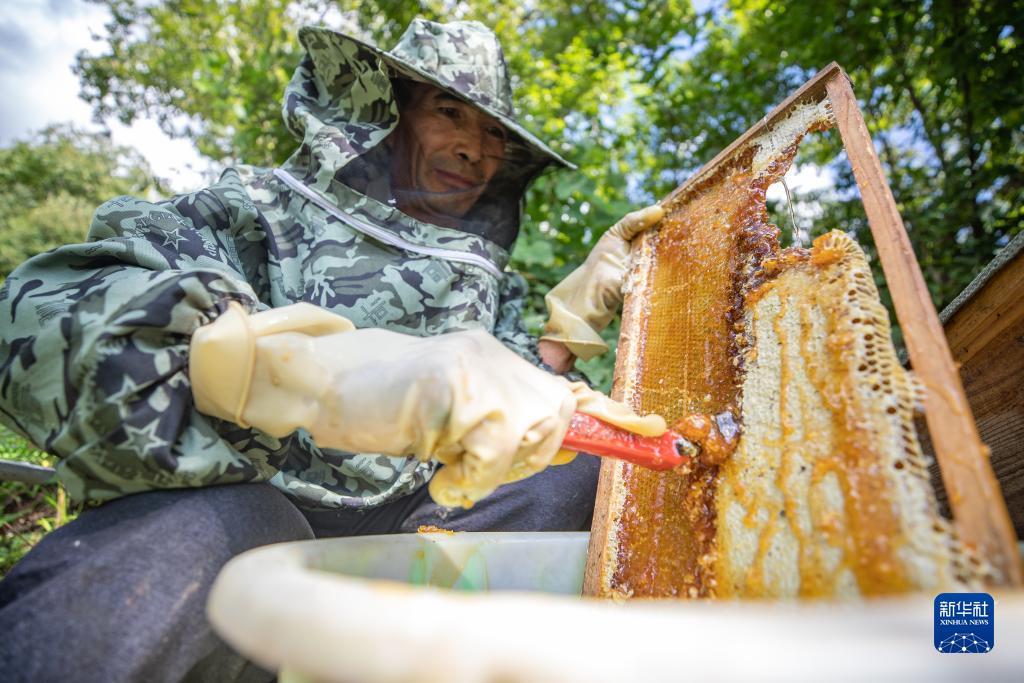专业菠菜导航官网